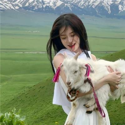代号九耳犬
